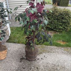 Artificial Plants For Sale