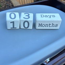 Baby Milestone Birthday Blocks