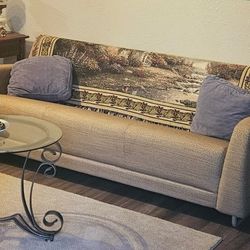 New Long Narrow Couch $75 OBO