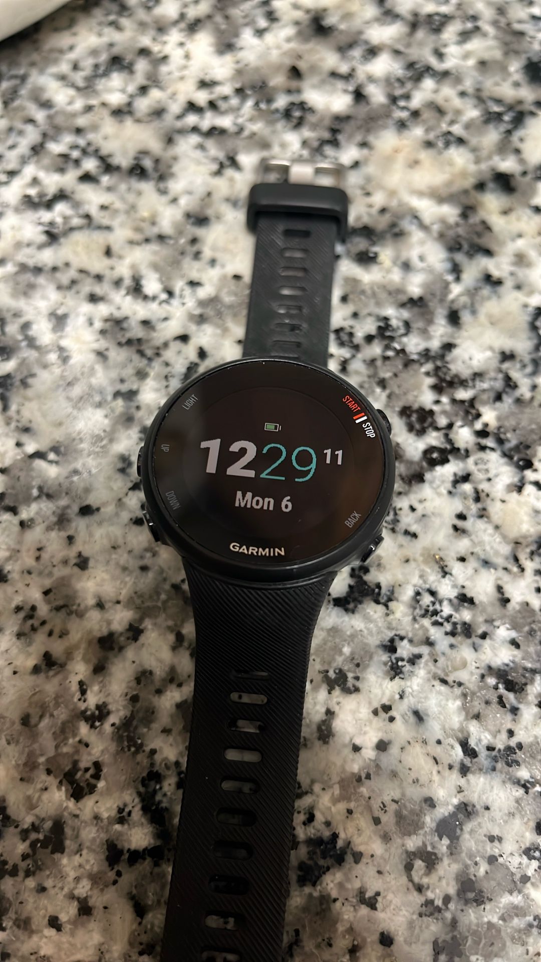 Garmin Forerunner 45s