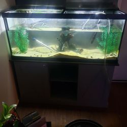Fish Tank With Stand 