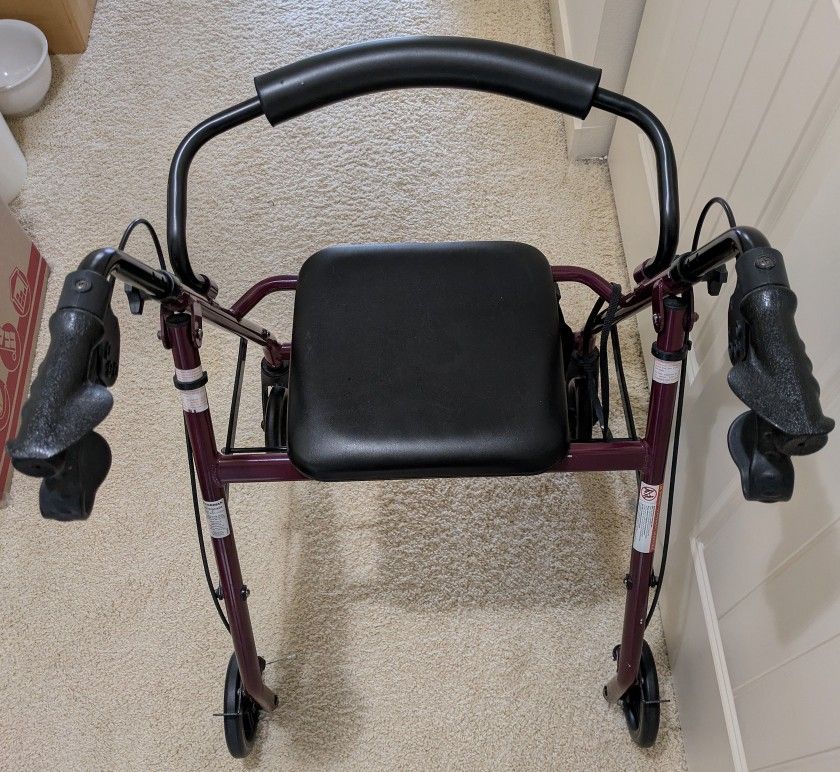 Guardian Walker 250 Pound Capacity