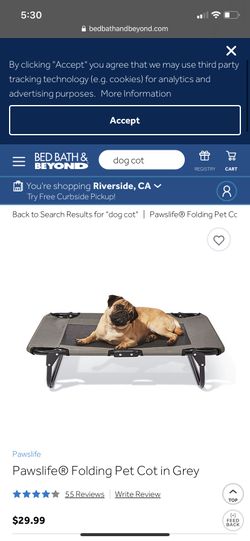 Dog cot