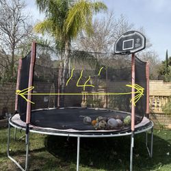 Trampoline 
