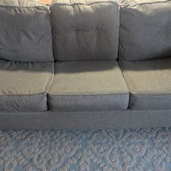 Couch (Sleeper Sofa)