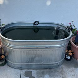 103 Gallon Stock Tank with 4 big kois and filter