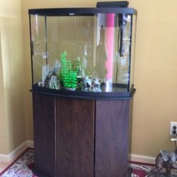 38 gallon fish tank online