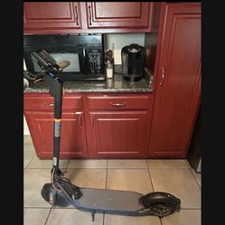 Ninebot F30