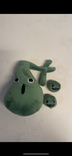Gallbladder Stuffie