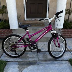 Girl Bike(Kent Terra 2.0)