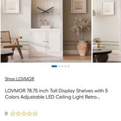 Lighted Glass display shelf with door