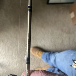 Fenwick Rod Paired With Bps Reel 