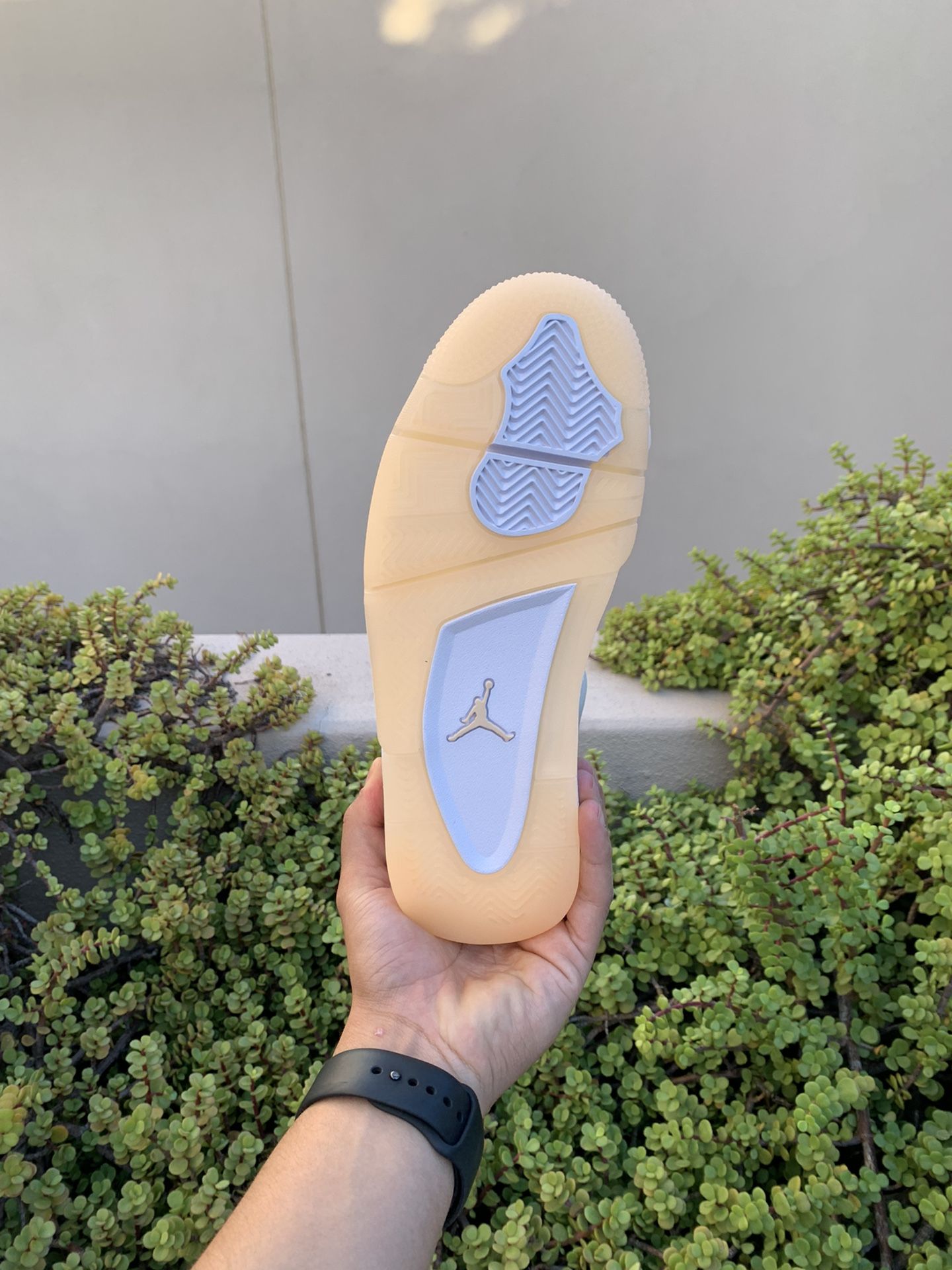 Jordan Shimmer 🪐 Women's