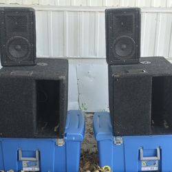 Peavey Compact Speakers DJS 1000 Pro Audio Vintage