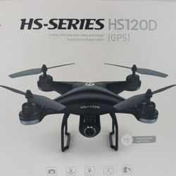Moving Sale - Drone Holy-Series  HS120D