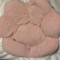 Extra Large Bean Bag And A Flowery Back Support