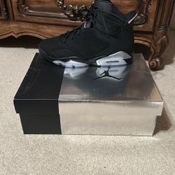 Nike Air Jordan 6 Retro (BRAND NEW) 10 Men’s