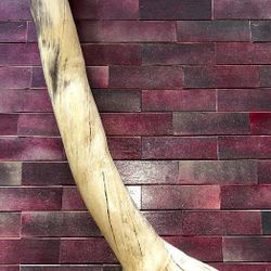 Terrarium Branch / Decor 