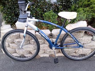 Beach cruiser