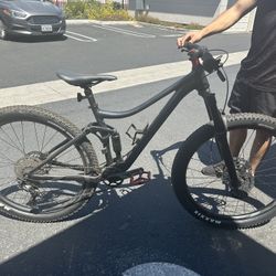 Giant Bike