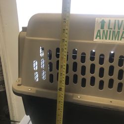 Plastic Dog House