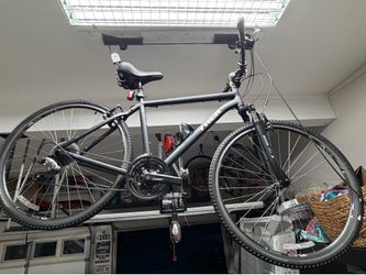 Trek Verve 3