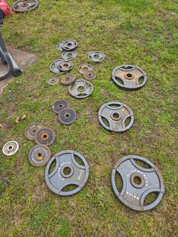 Gym Bar Weights