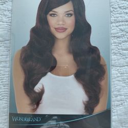 Long Wavy Wig