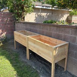 Planters 