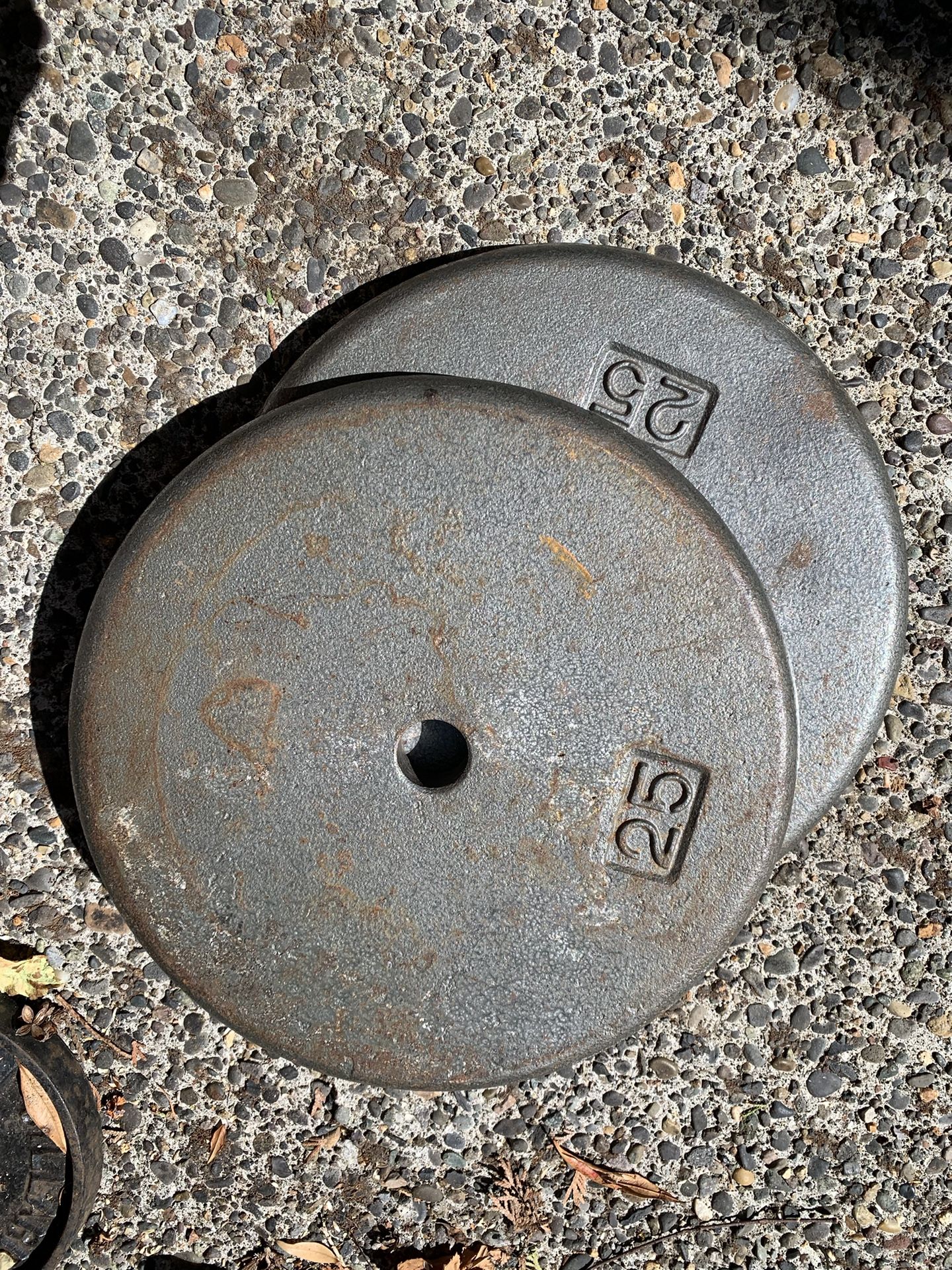 Two 25 Lbs Standard Weight Plates