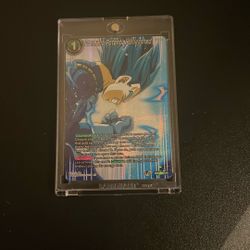 Vegita Card