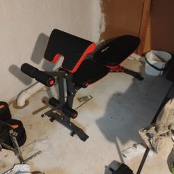 Weight Bench