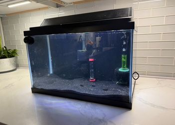 10 gallon aquarium