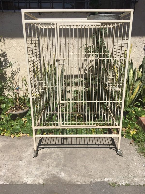 Parrot Cal•Cage