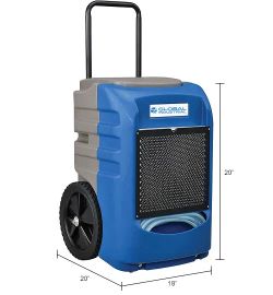 Refrigerant Dehumidifier w/ Pump, 120V, 145 Pints