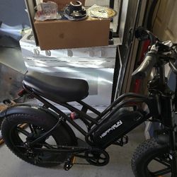 Electric Bike 