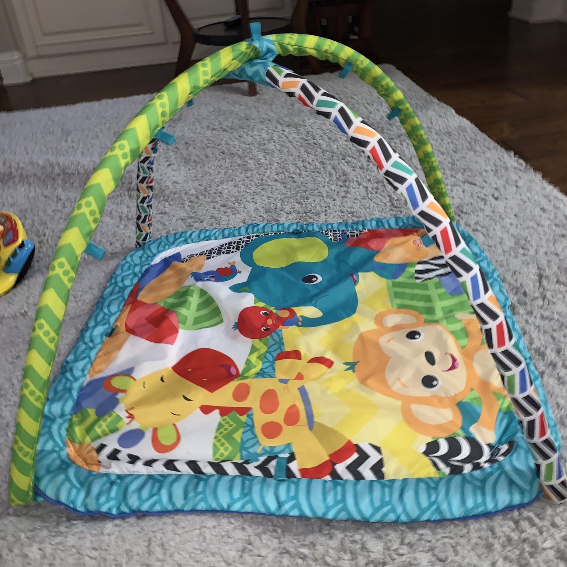 Activity Play Mat