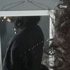 Loops
