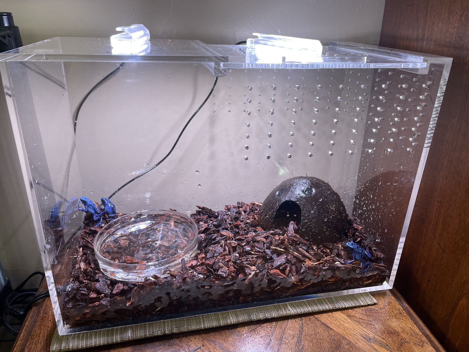 Dart Enclosure Full Setup