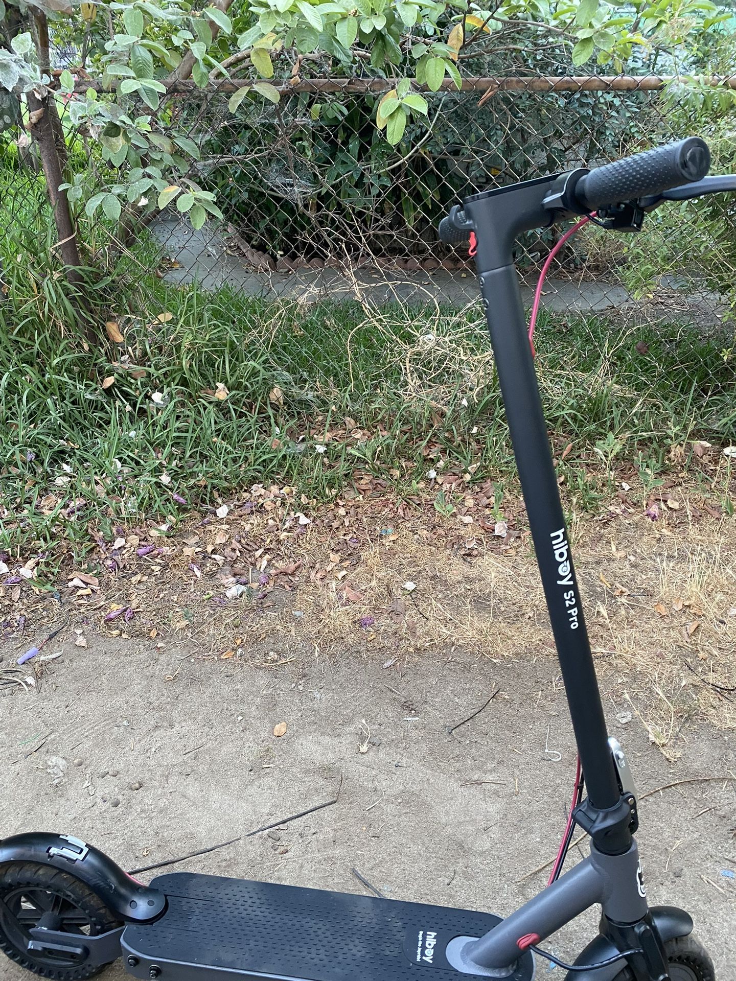 Electric Scooter