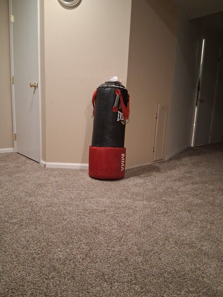 Everlast MMA punching Bag