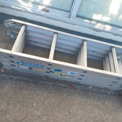 WERNER LADDER  M8-16