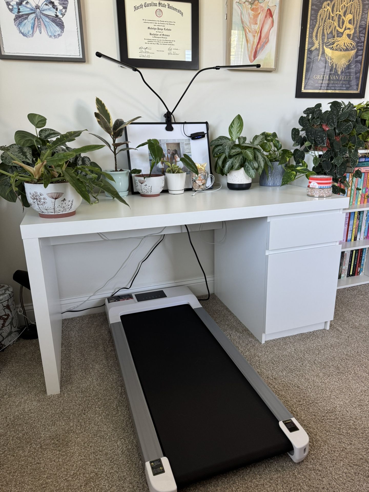 IKEA Malm Desk