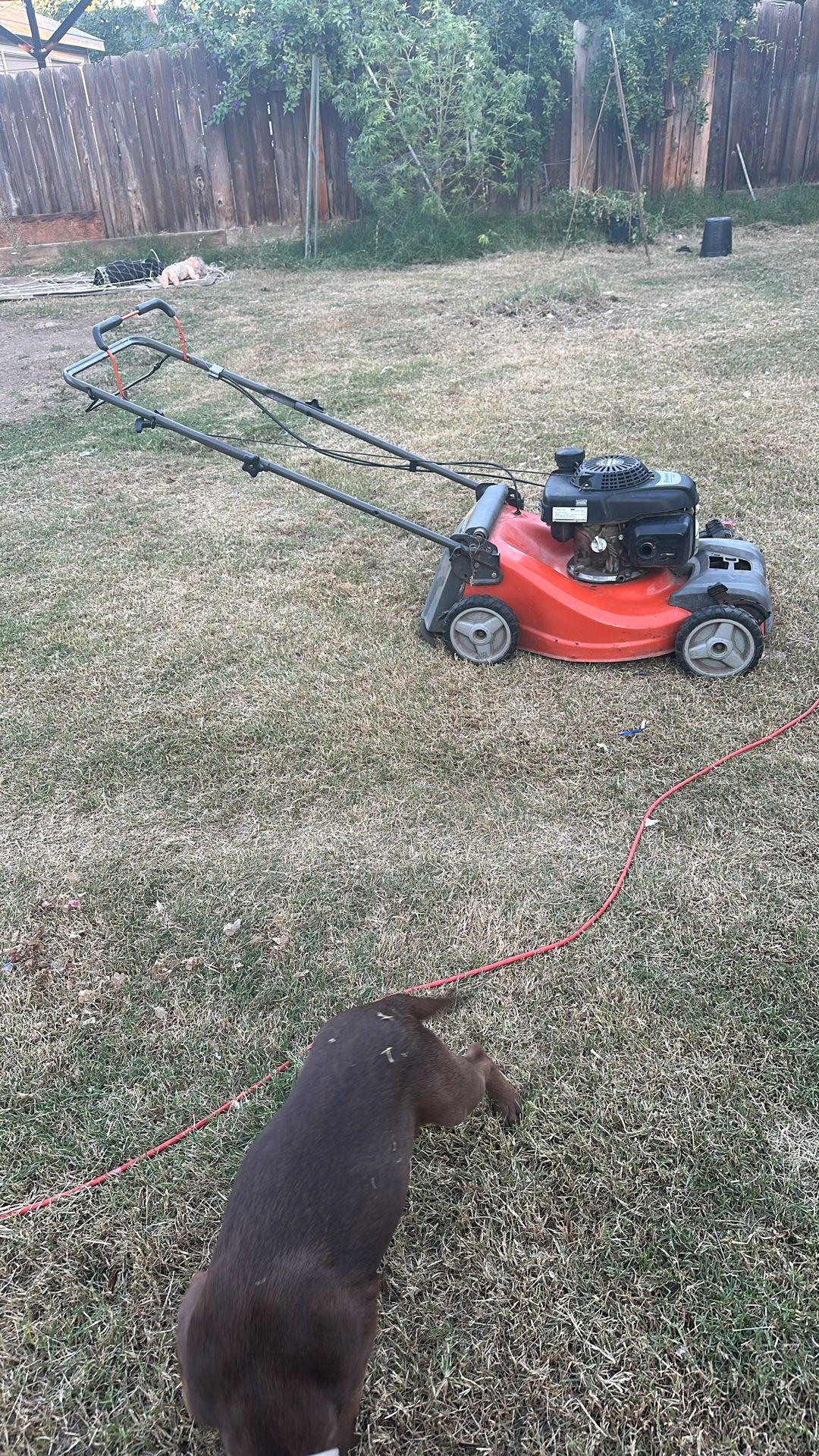 Lawn Mower