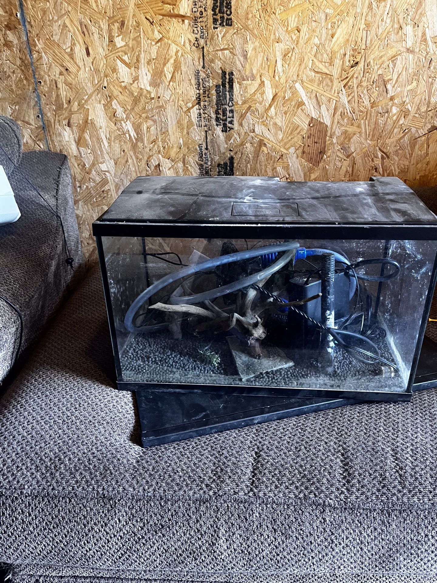 Aquariums (2) W/ Accessories 