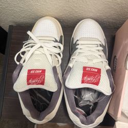 Nike Sb Familia Team Edition 