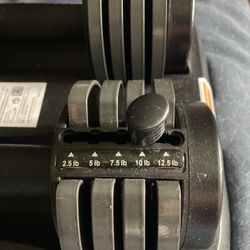 Dumbbells  12.5 X 2