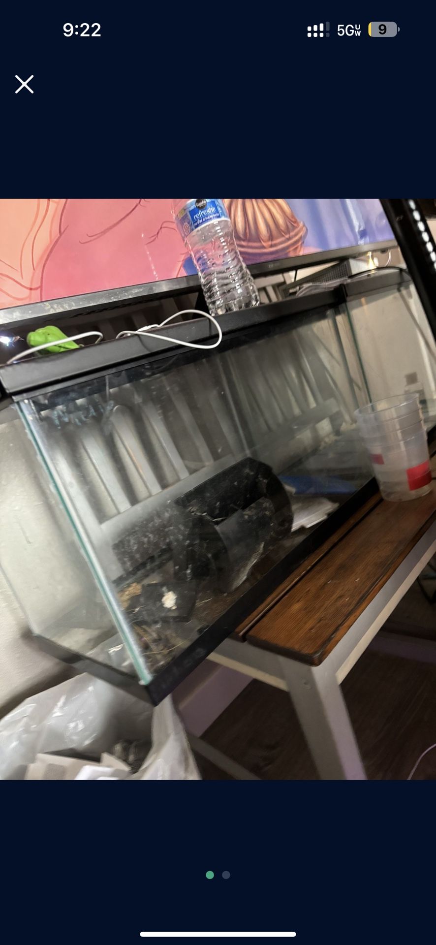 10gallon Tank