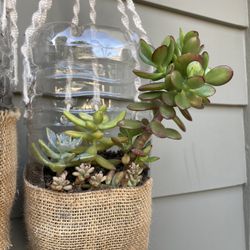 Upcycled Plastic Bottle Vertical Garden 