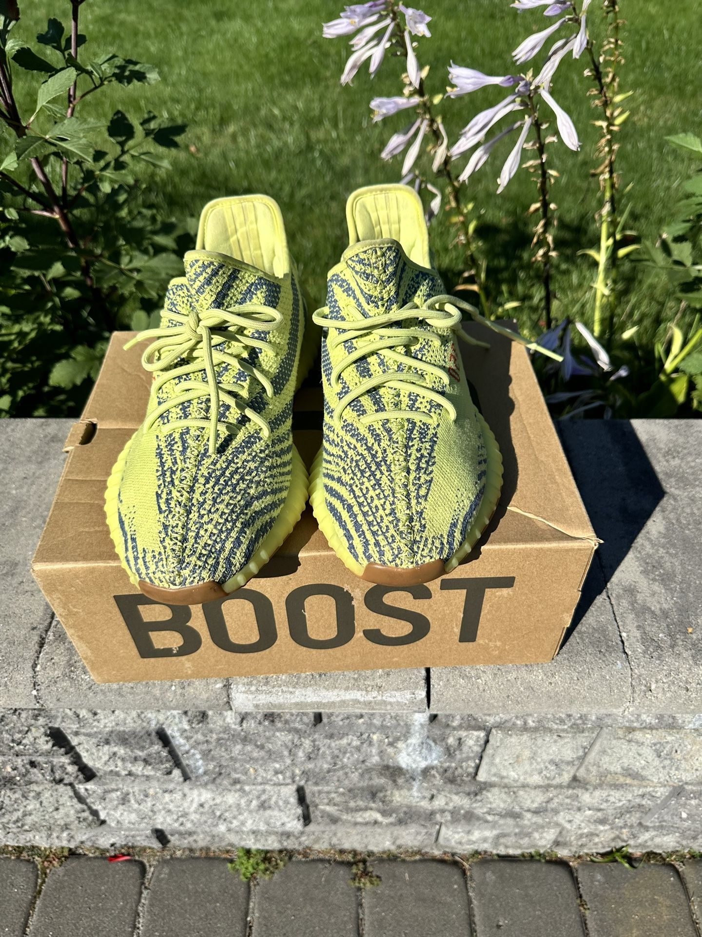 Yeezy 350